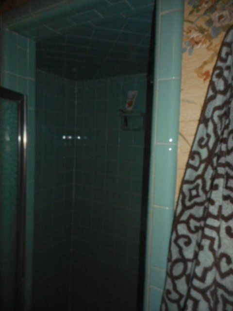 bathroom shower before remodeling