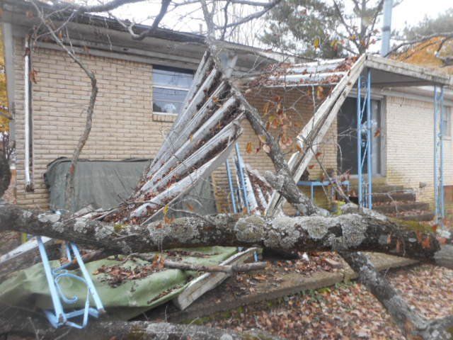 home damaged by high winds and fallen branches