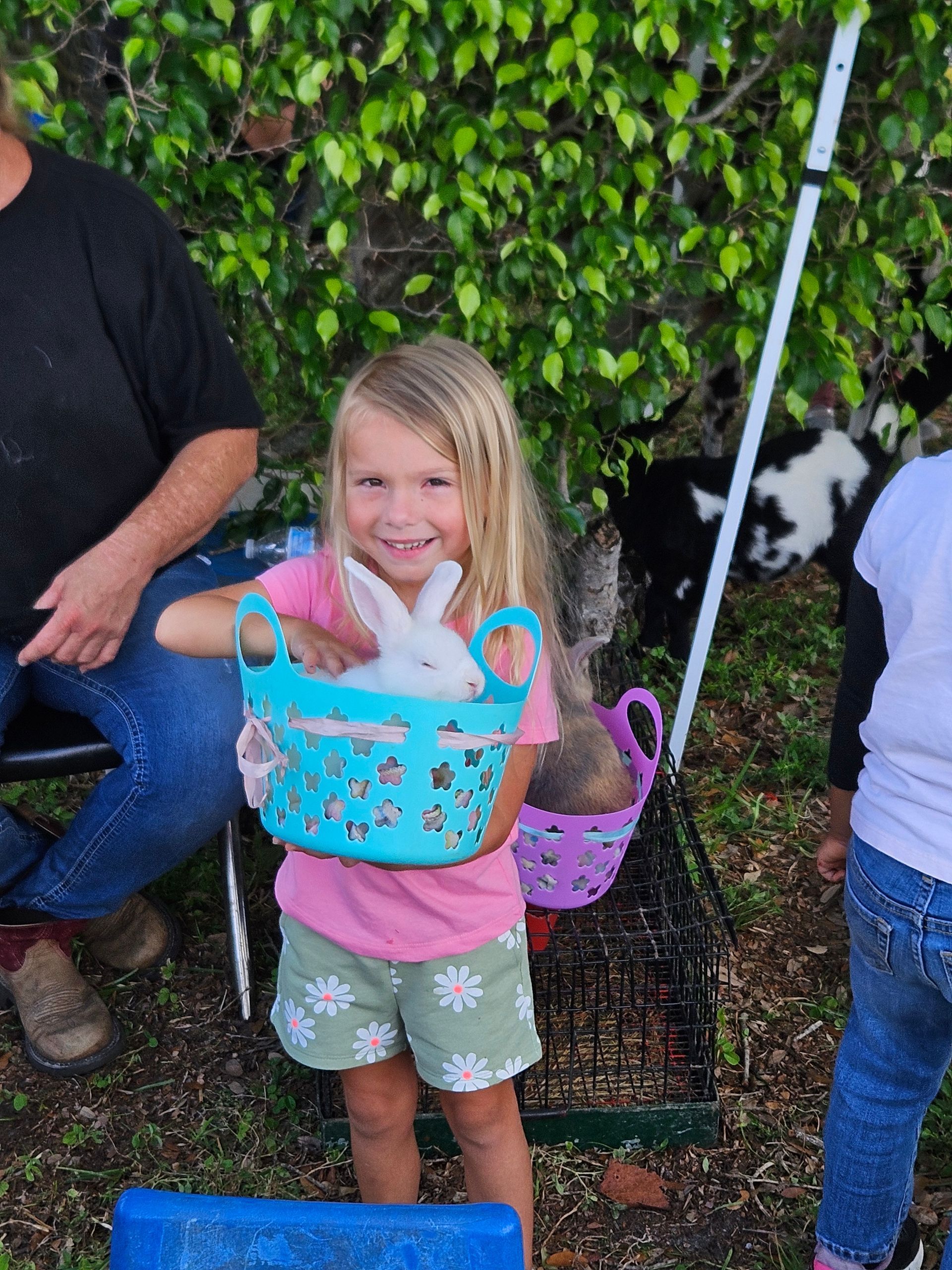 Girl holding a white rabbit in a blue basket, smiling. Green shorts, pink shirt. Outdoors with goats.