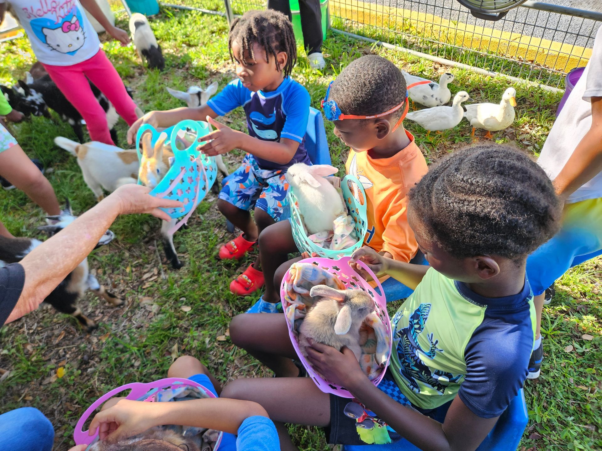 Children petting goats at an outdoor event, holding them in baskets. Ducks and a fence are in the background.