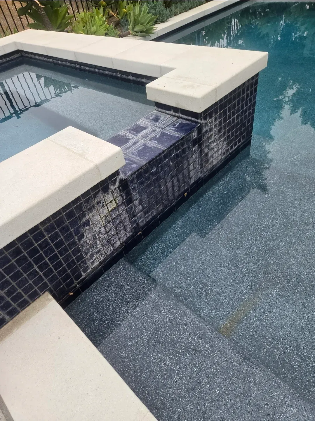 Pool with blue tiles and a concrete deck and steps.