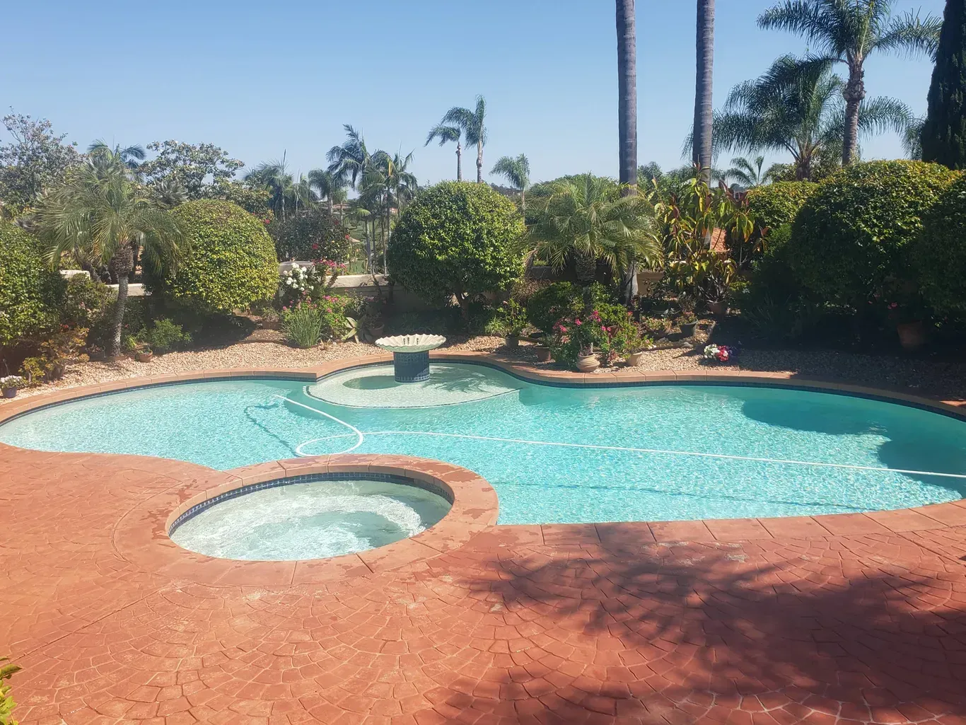 Pool and jacuzzi in a yard with bushes and trees on a sunny day.