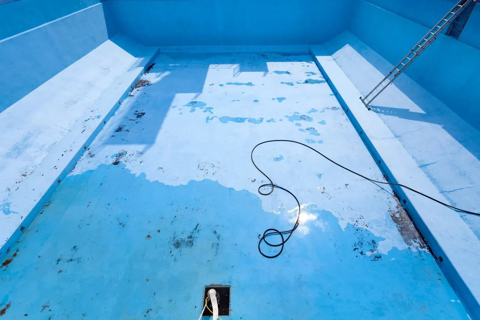 Pool and jacuzzi in a yard with bushes and trees on a sunny day.