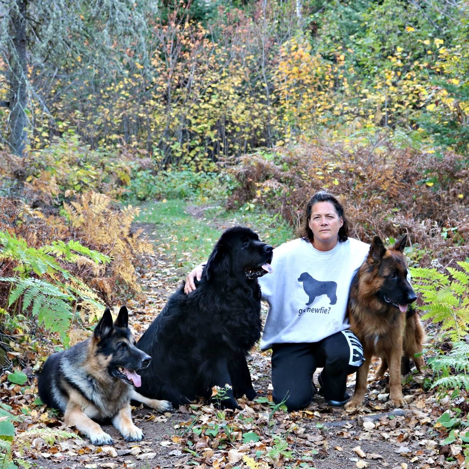 Woman kneels with three dogs in a forest. Two German Shepherds and a Newfoundland pose on a path.