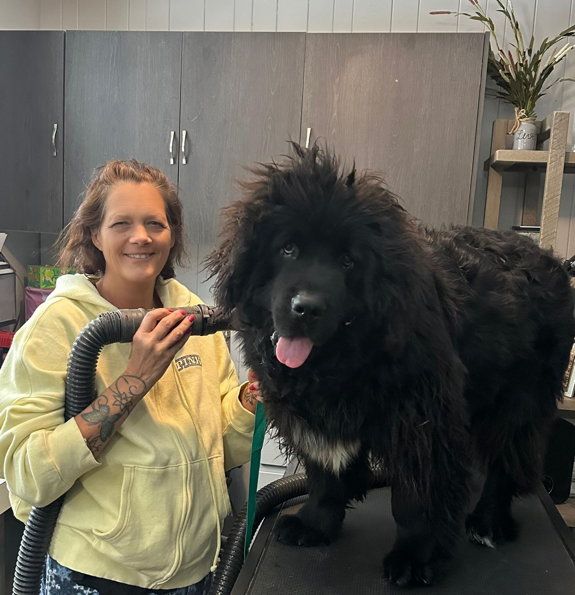 A black and white dog wearing a green hat and green beads.