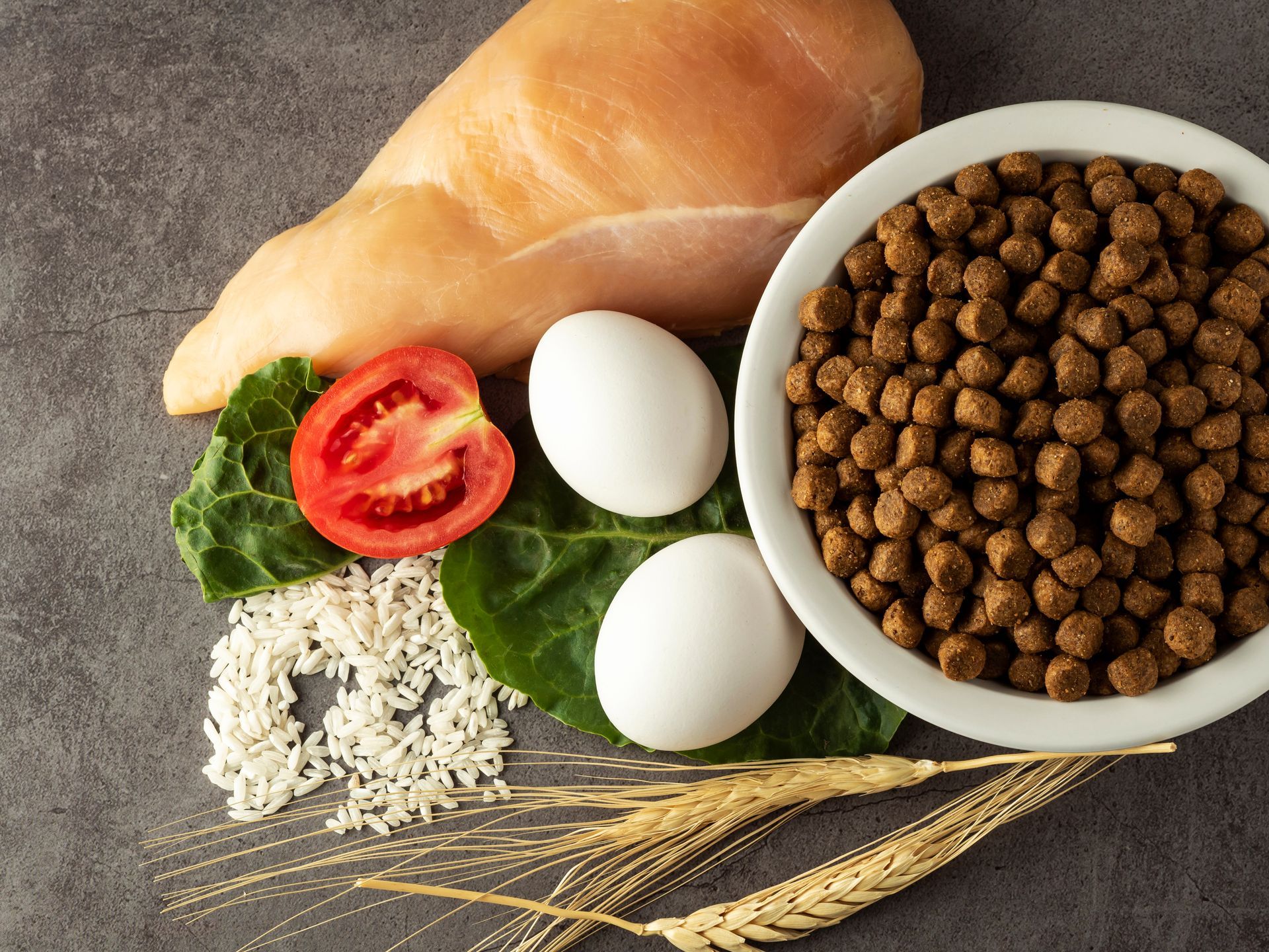 Close-up of dog food, chicken breast, eggs, tomato, rice, and wheat on a gray surface.