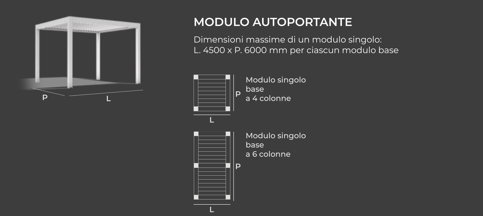 Un disegno in bianco e nero di un modulo autoportante