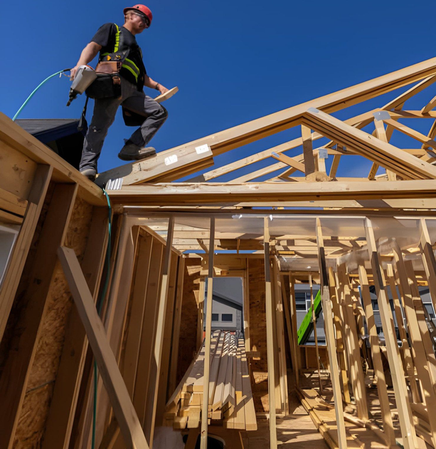 Contractor walking on timber roof trusses.