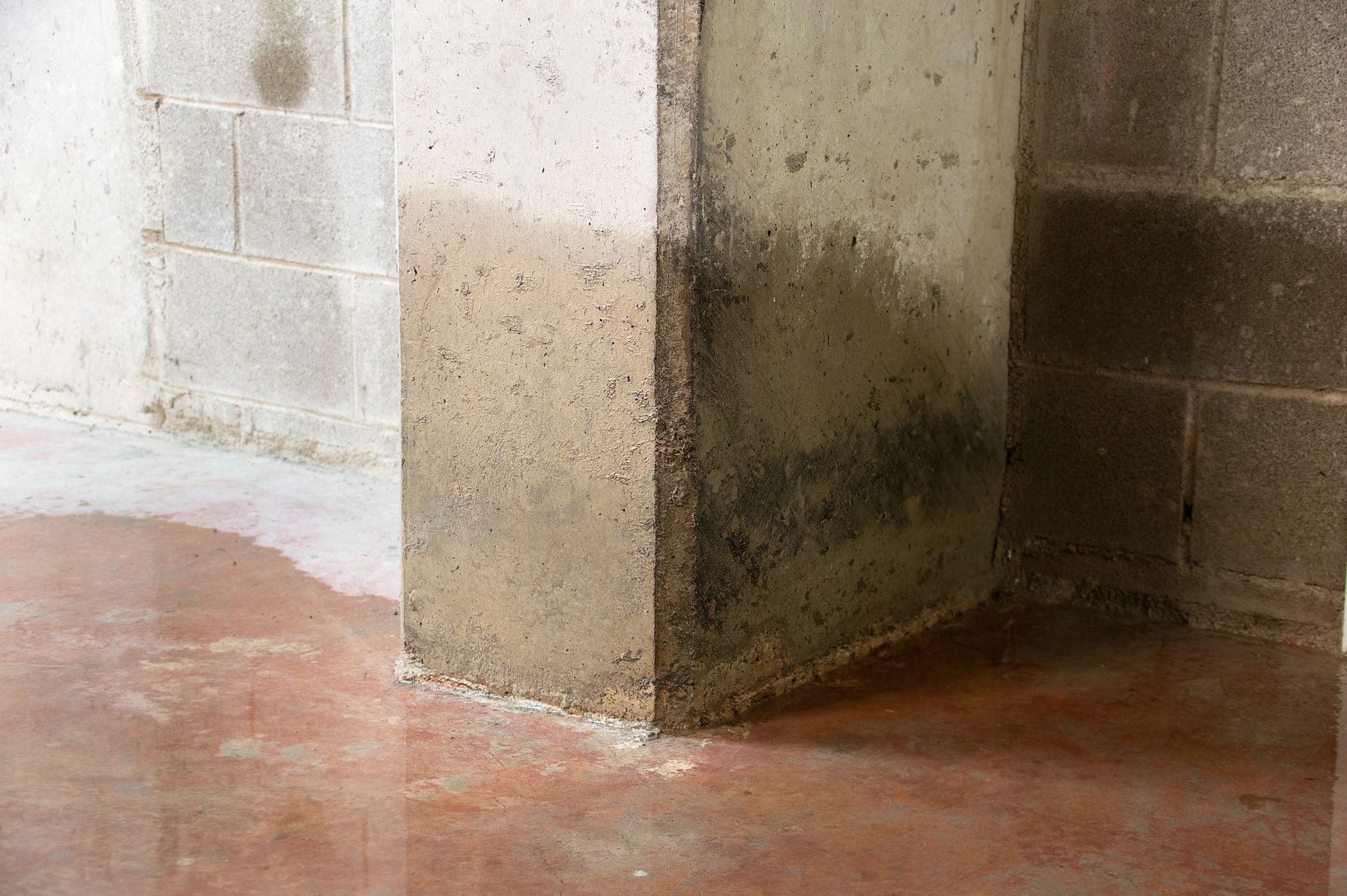 A corner of a concrete wall with a puddle of water on the floor.