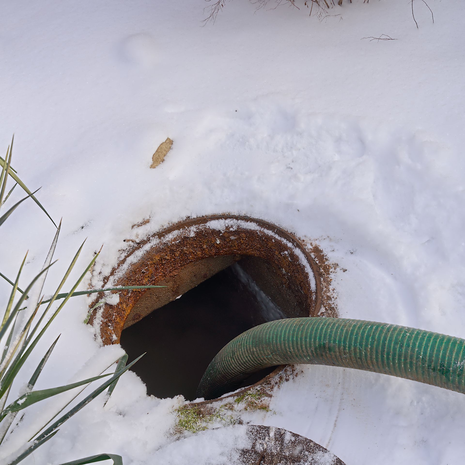 A green hose extends into an open septic tank, surrounded by snow.