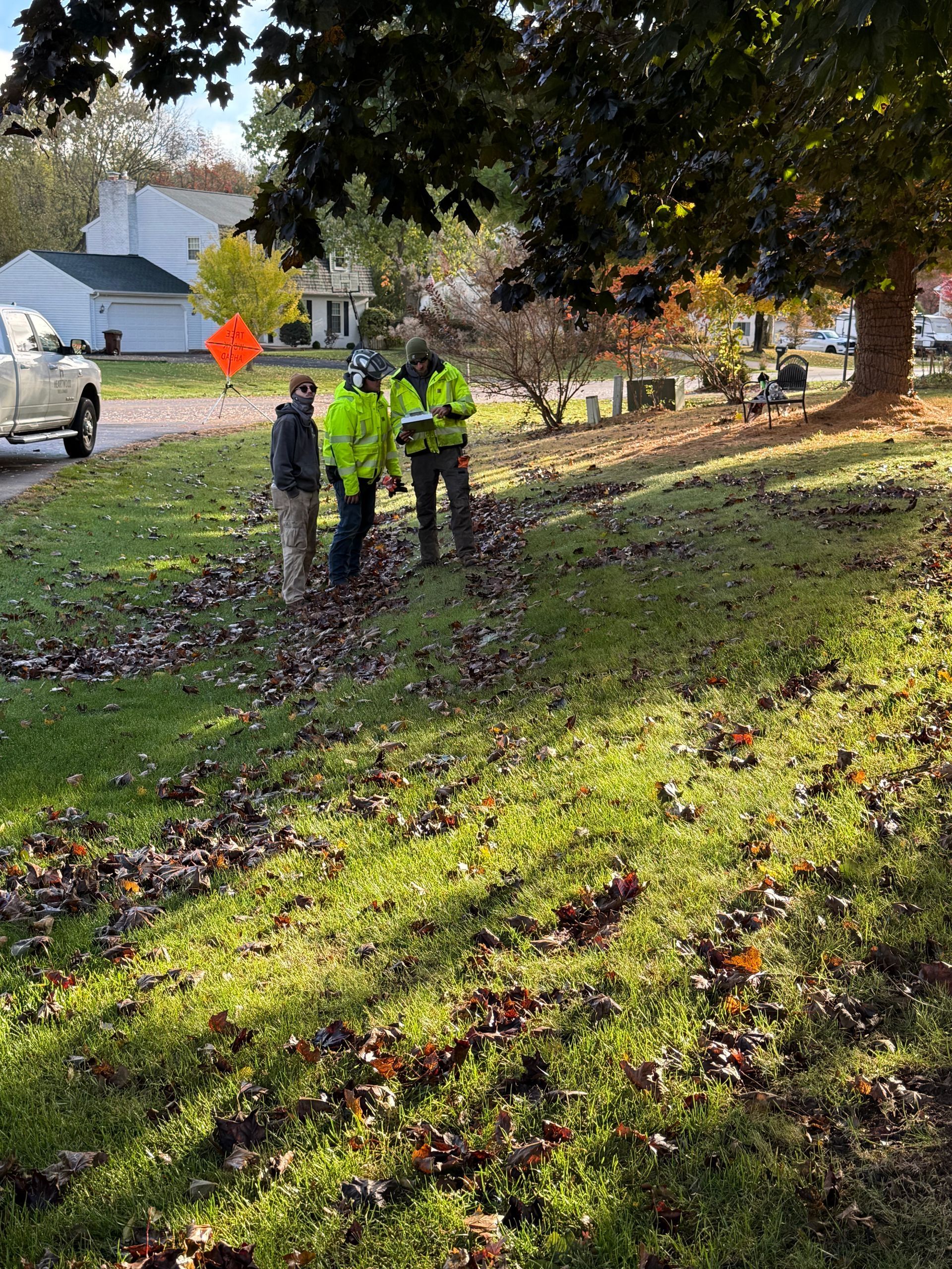 Three people in safety vests on a grassy lawn with fallen leaves. One is holding a clipboard under a tree.