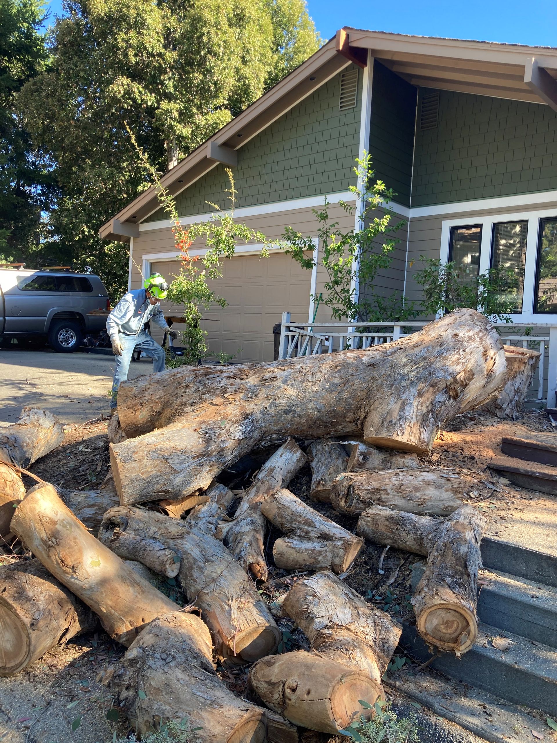 Tree Logs Near House — Soquel, CA — JD Tree