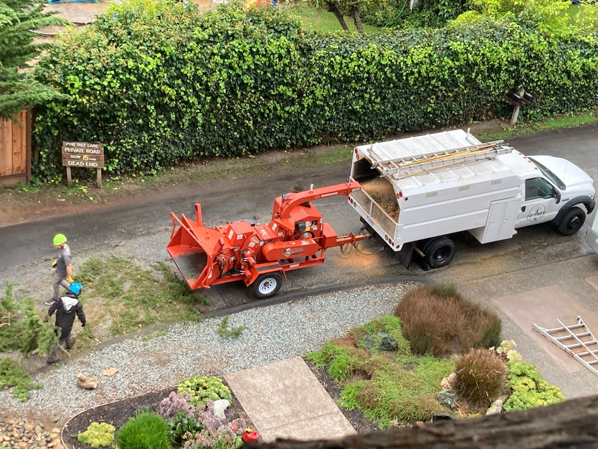 Tree Removal Service — Soquel, CA — JD Tree