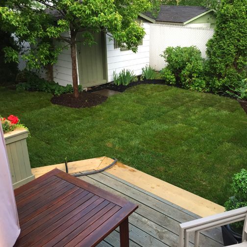 Une cour verdoyante avec un hangar en arrière-plan