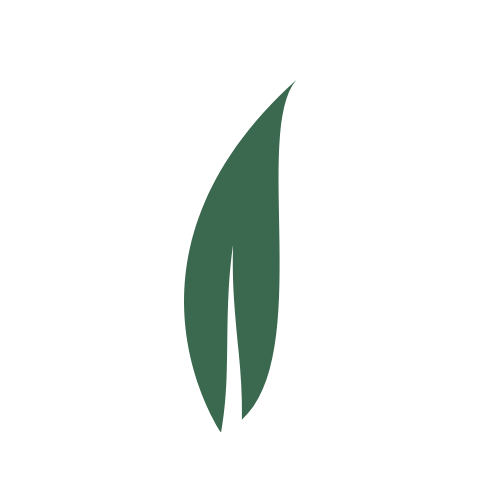 Abstract logo met een groen blad op een witte achtergrond