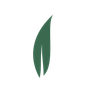 Abstract logo met een groen blad op een witte achtergrond