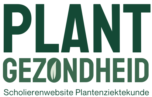 Logo reading “PLANT GEZONDHEID” in green, with subtitle “Scholierenwebsite Plantenziektekunde”