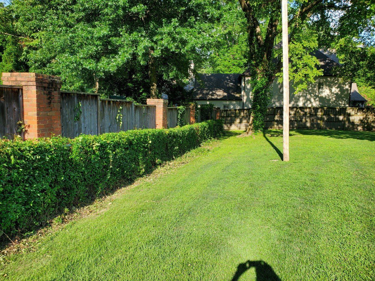 Green lawn with a low hedge and a brick-columned fence, trees, and a building in the background.