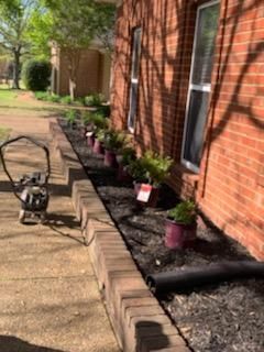 Brick building with a row of potted plants on a bed of black mulch. A lawn mower sits on the sidewalk.