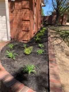A flowerbed with dark mulch and green plants next to a brick building and walkway.