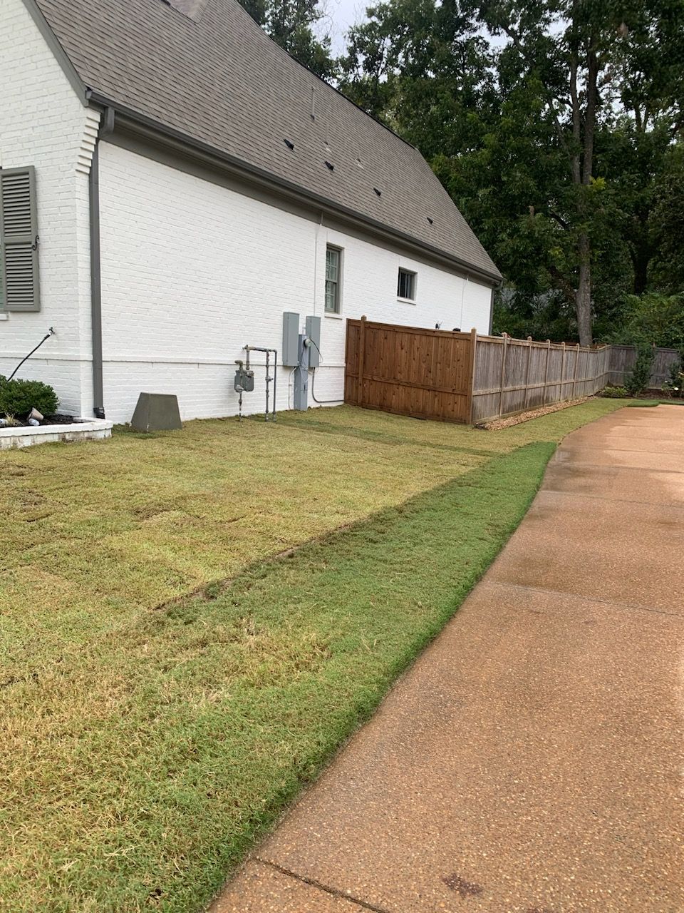 A grassy lawn next to a driveway, with a white house on the left and a wooden fence in the back.