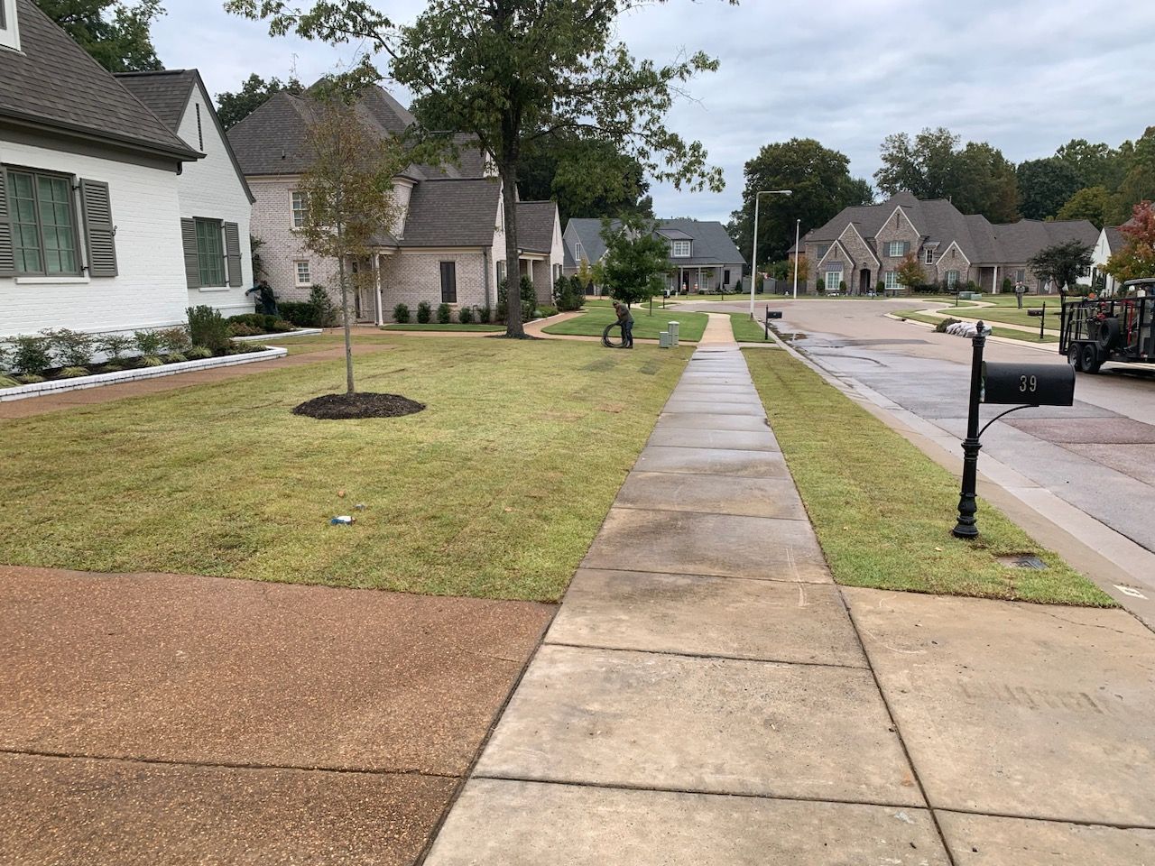 Suburban street scene. Sidewalk, houses, and grass, with a mailbox in the foreground. Overcast sky.