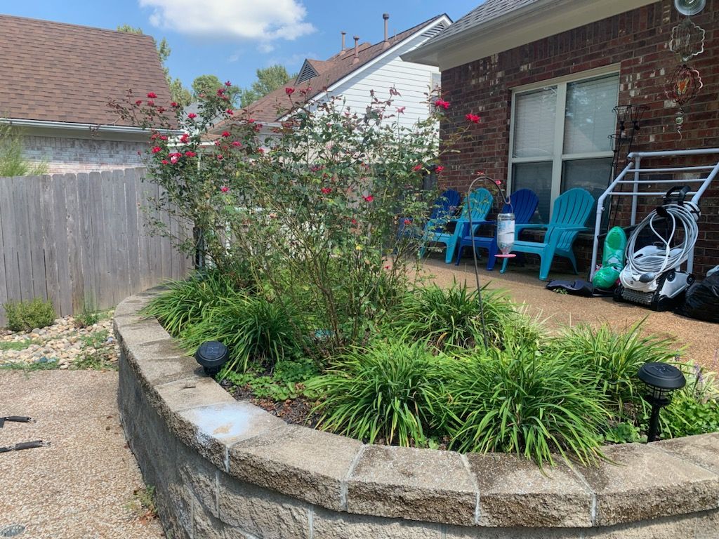 Stone-walled garden bed with green plants, a flowering rose bush, and patio furniture in the background.