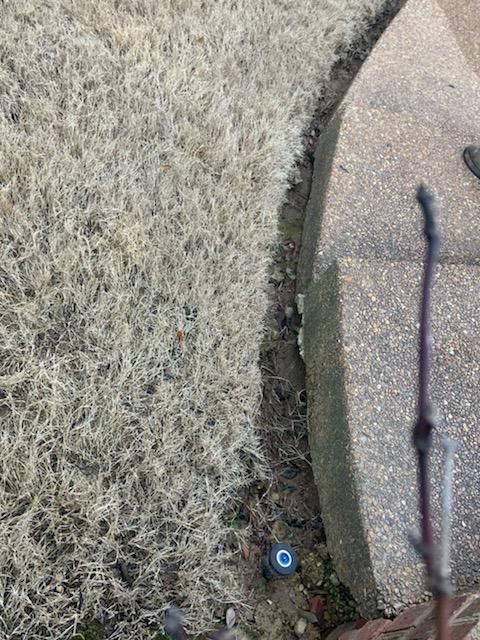 Dry grass borders a concrete walkway; a small sprinkler head is visible.