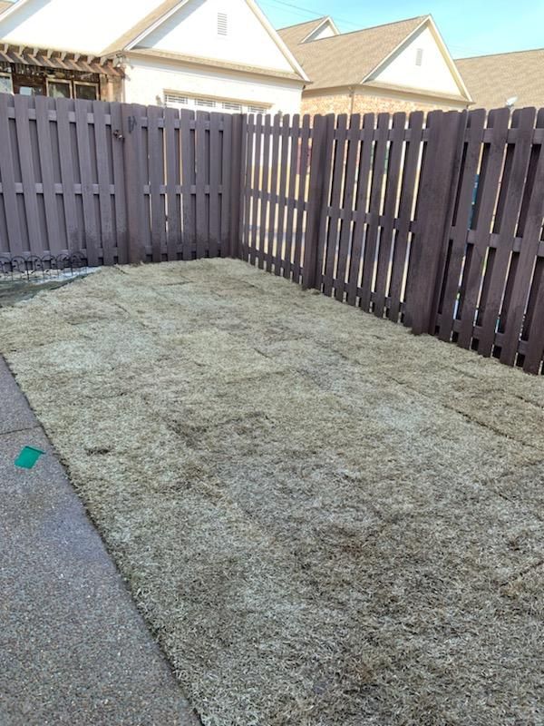 Brown fence encloses a backyard with dead grass, next to a concrete walkway.