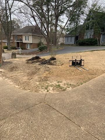 Dry, brown grass with a small pile of mulch and a small black lawn cart on a residential lawn.