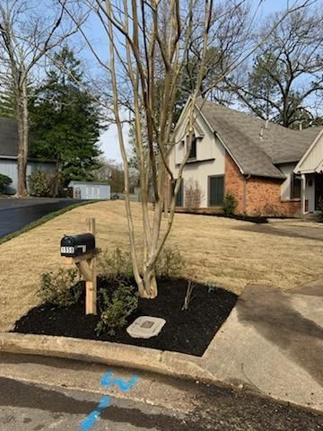 A mailbox in the middle of a yard next to a house.