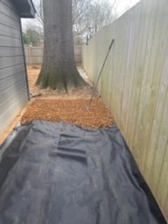 There is a large tree in the backyard next to a fence.