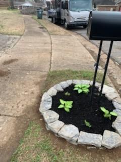 A mailbox is sitting on the side of the road next to a flower bed.