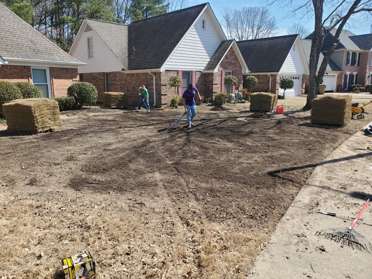 People raking a lawn in front of houses, preparing for seeding, with hay bales on the sides.