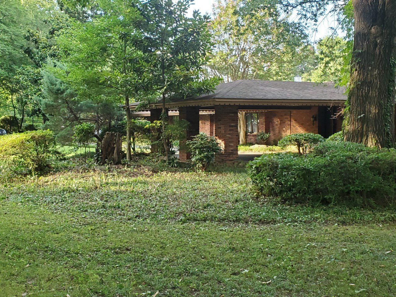 A single-story brick house nestled among trees with a lawn in front.