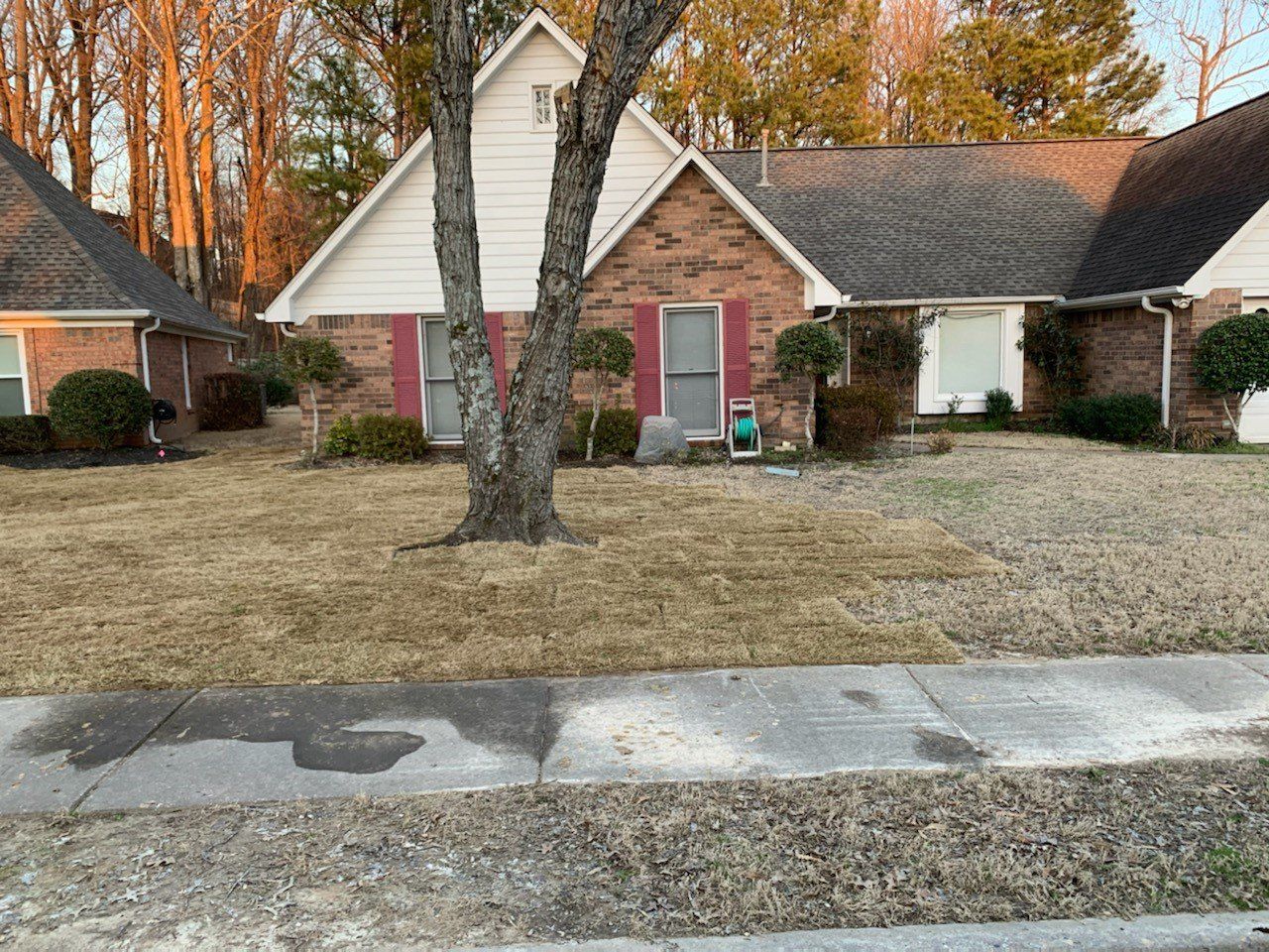 A brick house with red shutters and a brown lawn; a tree in the front yard.
