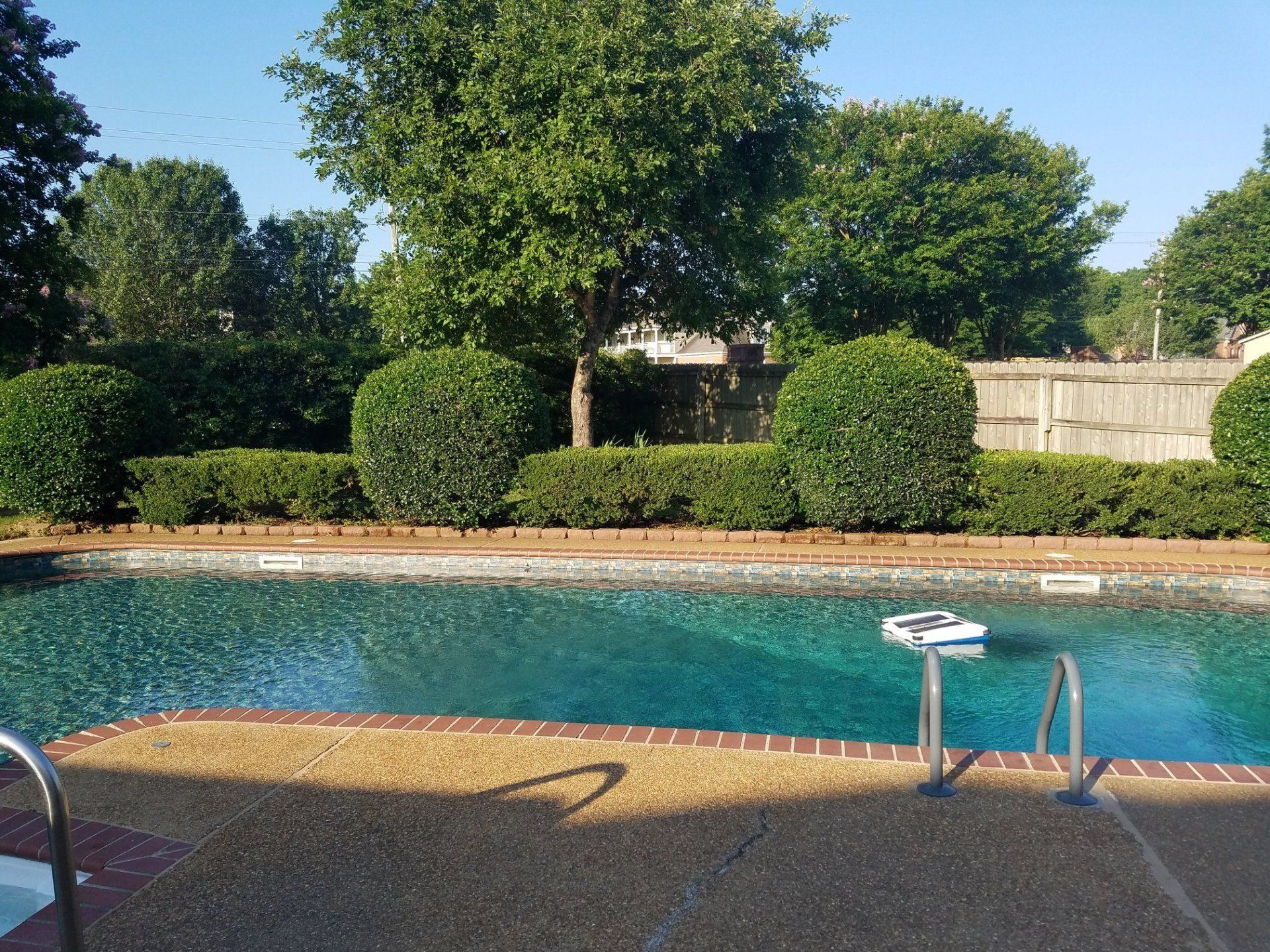 Swimming pool with a brick border, surrounded by green bushes and trees.