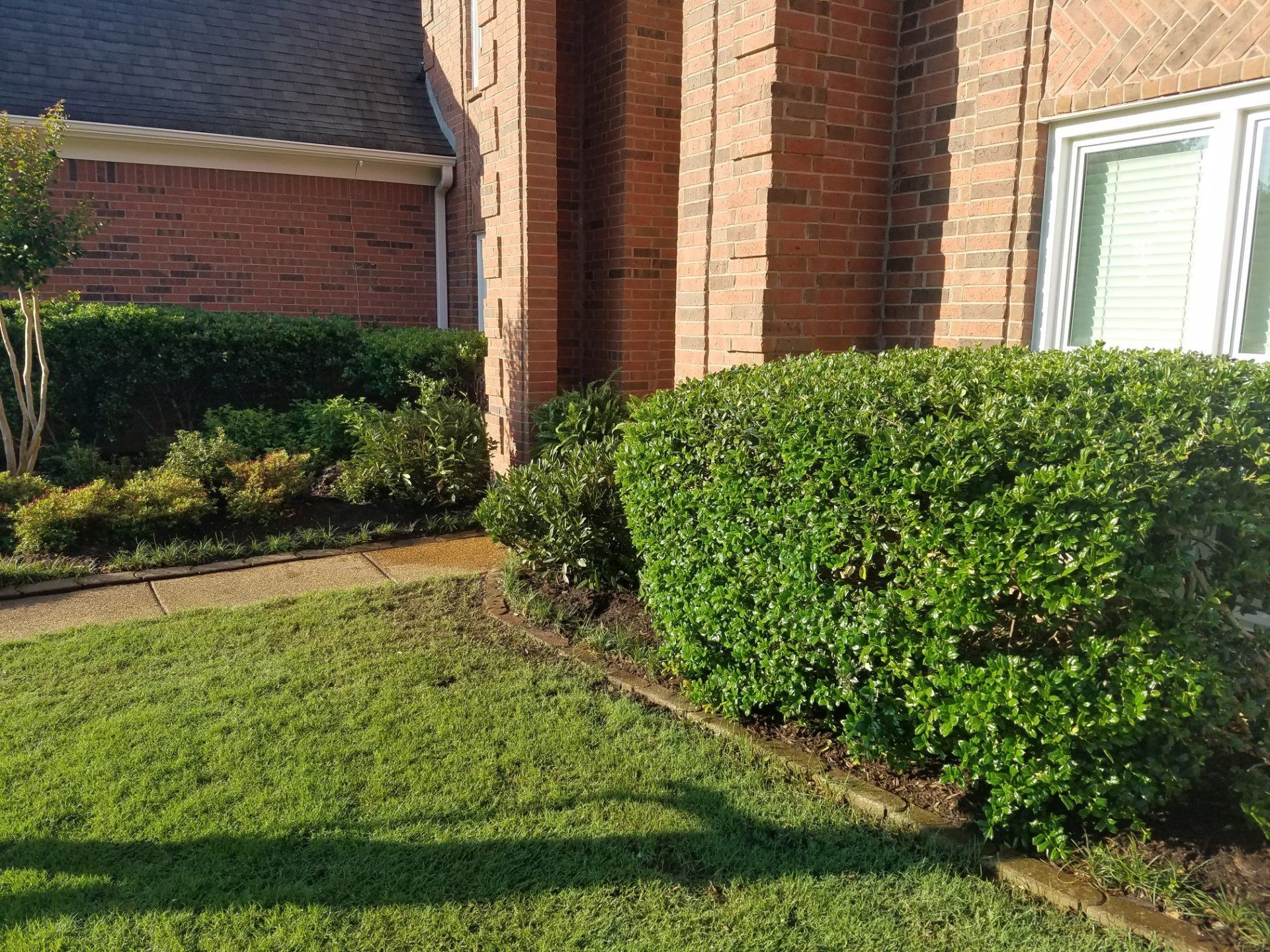 Green bushes and lawn next to a brick building.