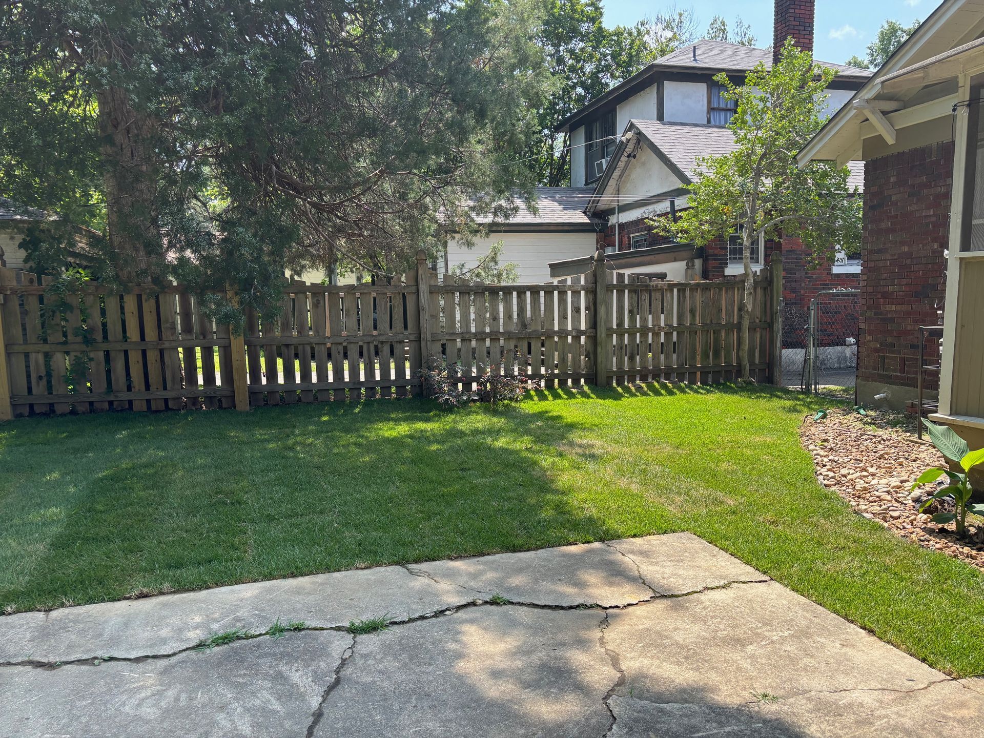 Lawn in a backyard, bordered by a wooden fence. Buildings are in the background. Green grass and a concrete patio.