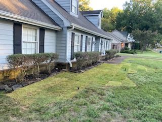 Blue house with dark shutters, overgrown bushes, and a grassy lawn.