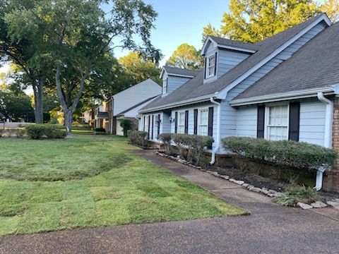Blue house with black shutters, front yard with newly laid sod, and some trees.