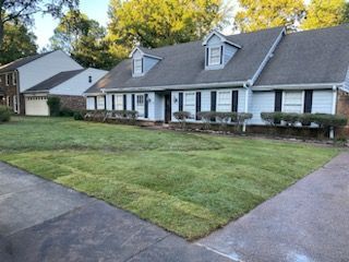 A light blue ranch-style house with black shutters, green lawn, and sidewalk in front.