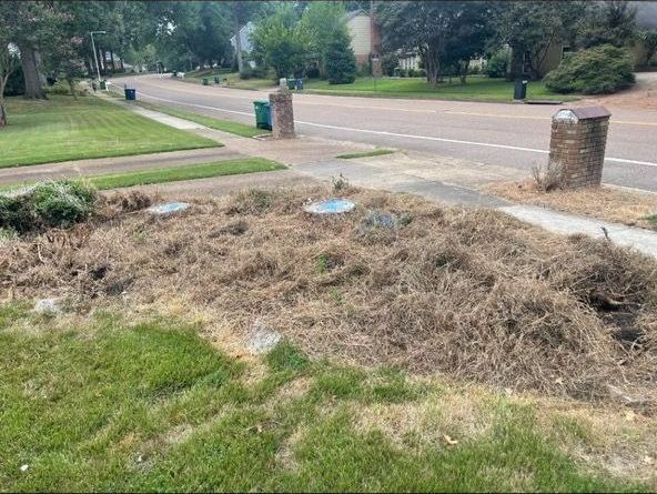 Dried grass and debris piled on a lawn, a road and houses in the background.