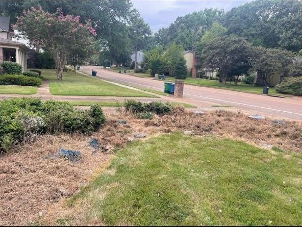 A street with houses, trees, and grass. Brown and green yard with trash cans, overcast sky.