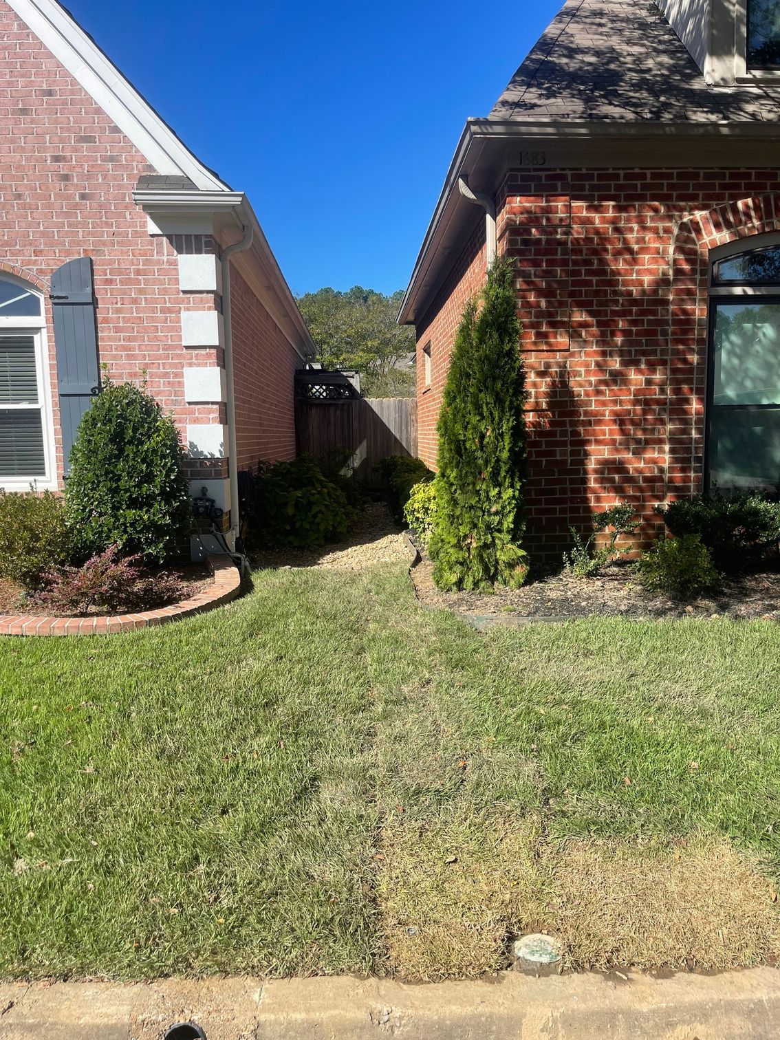 Narrow pathway between brick houses with green grass and shrubs.