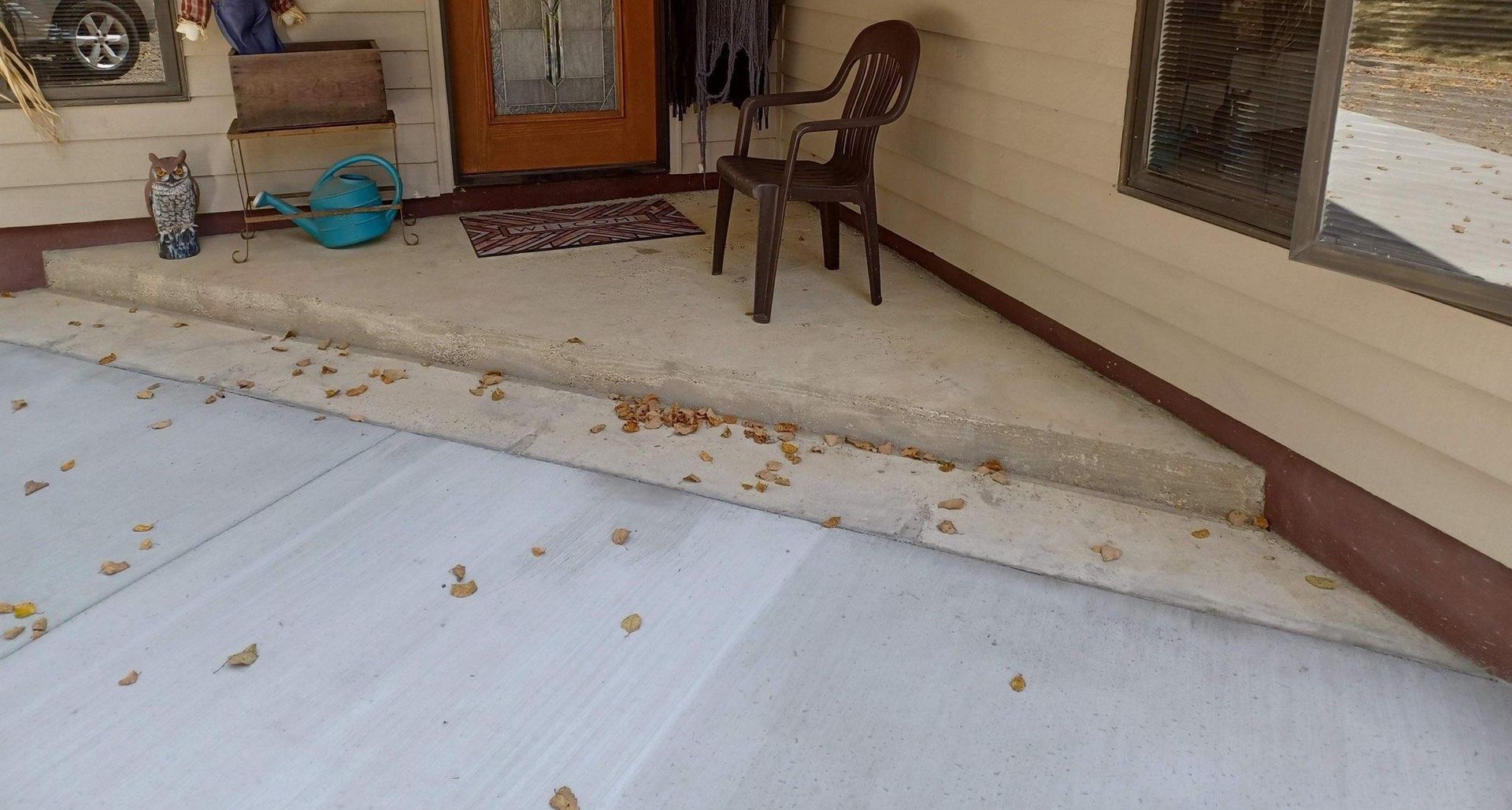 Cat sitting on porch steps. Door, chair, and watering can visible. Concrete with scattered leaves.