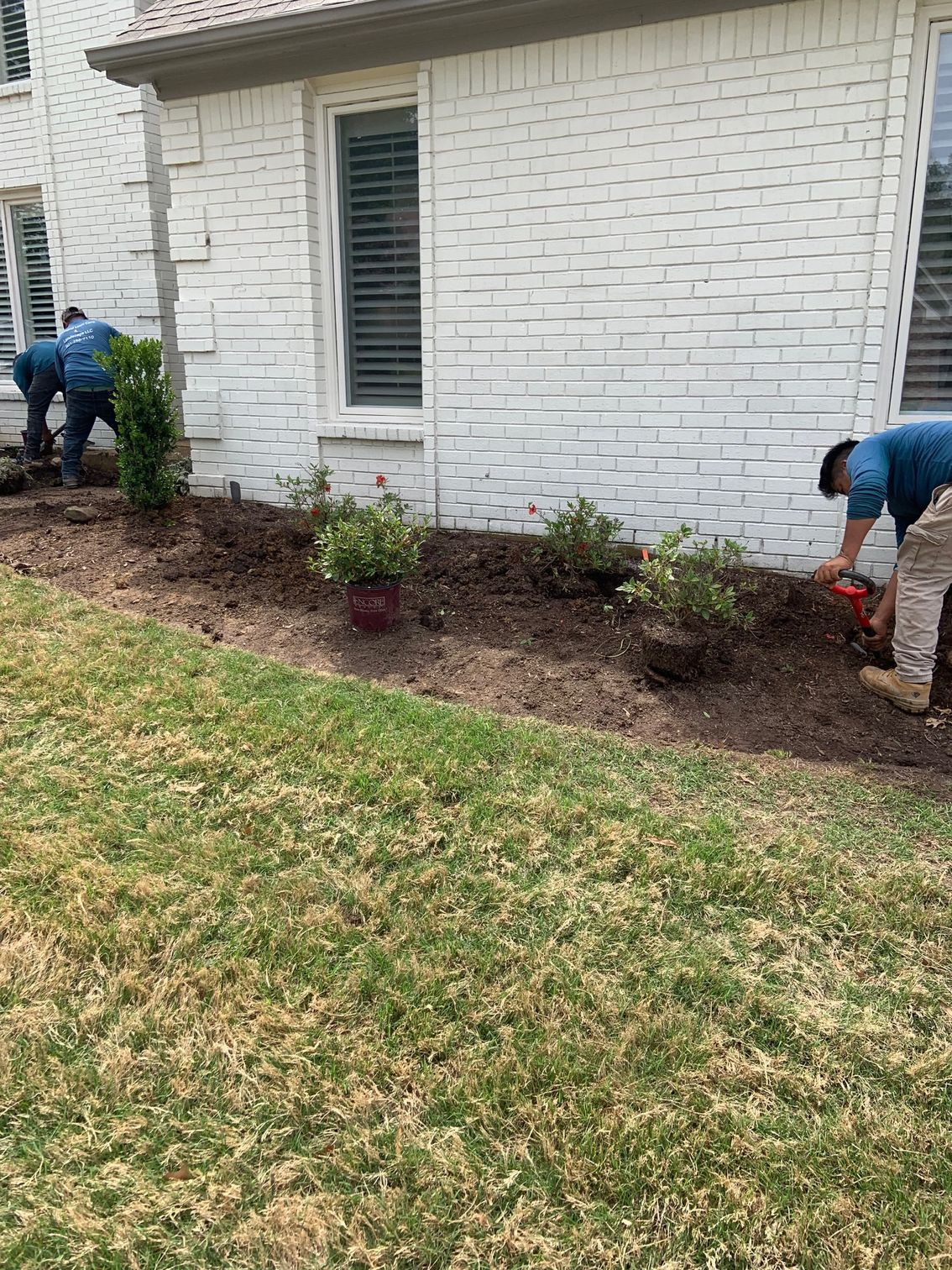Landscapers mulching a flower bed in front of a white brick house, sunny day.