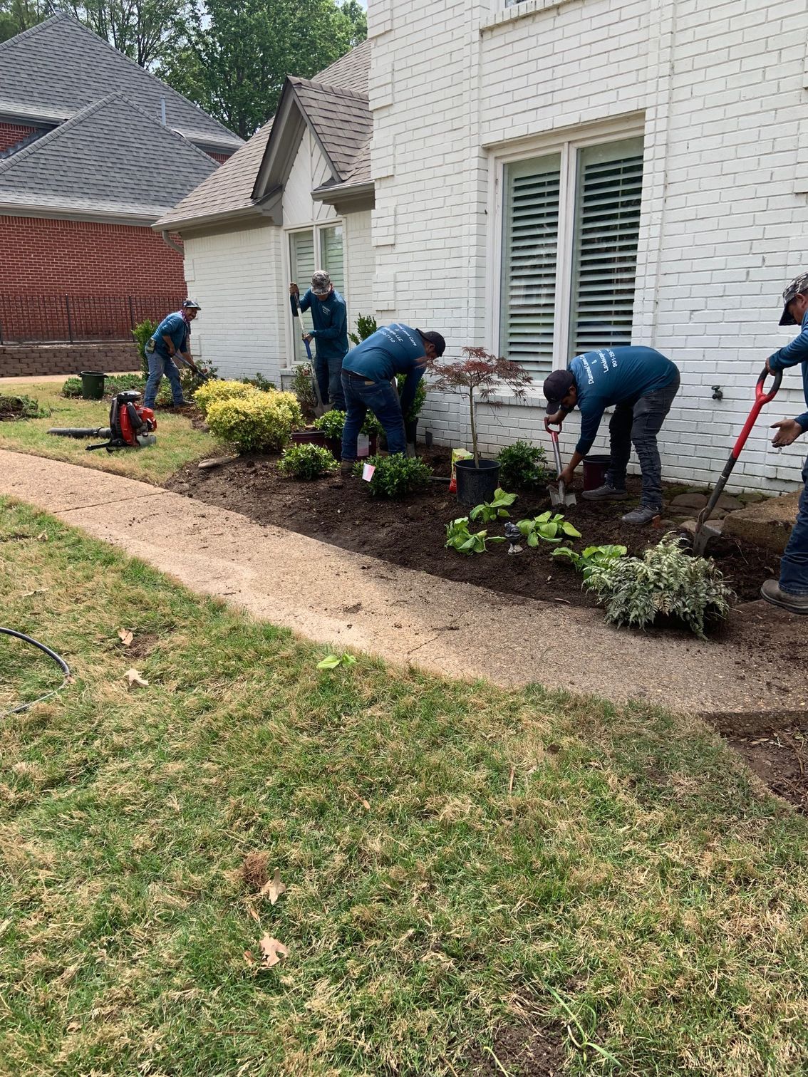 Landscapers planting flowers in front of a white brick house.