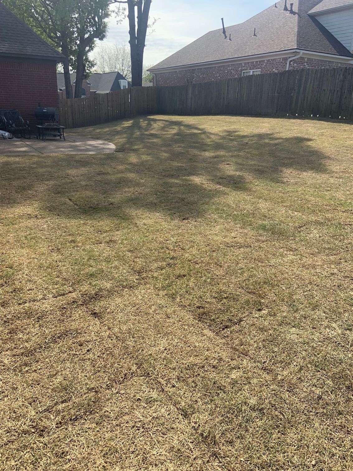 A brown, patchy lawn in a backyard with a wooden fence, a red brick building, and a house with a brown roof.