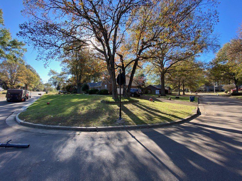 Trees frame a sunny cul-de-sac. Homes line the street with a sign post in the middle. Autumn colors.